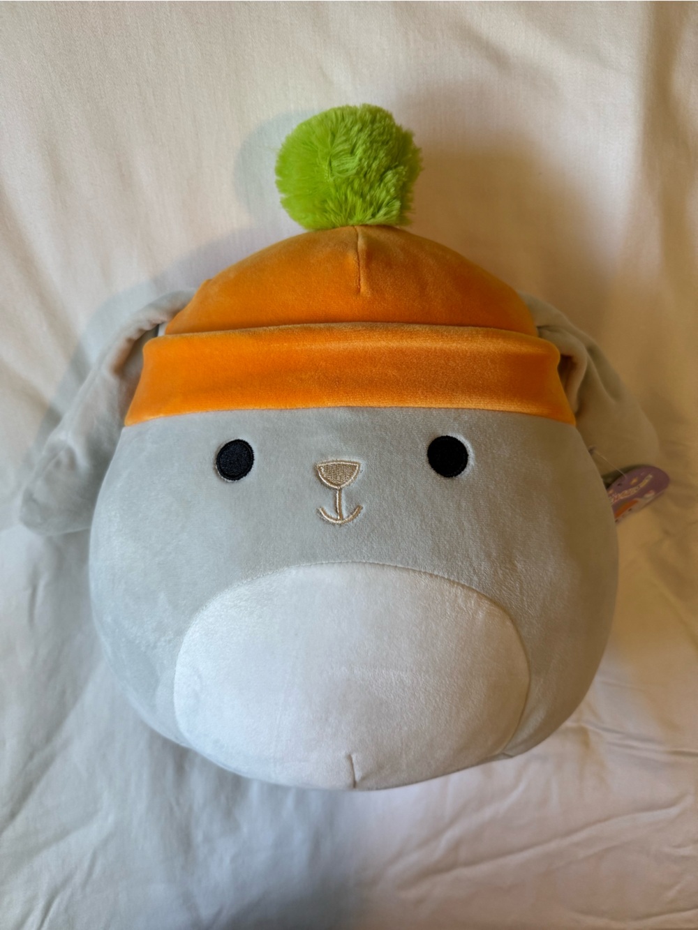 Valentina the Grey Gray Bunny Squishmallow with Carrot Beanie 12”